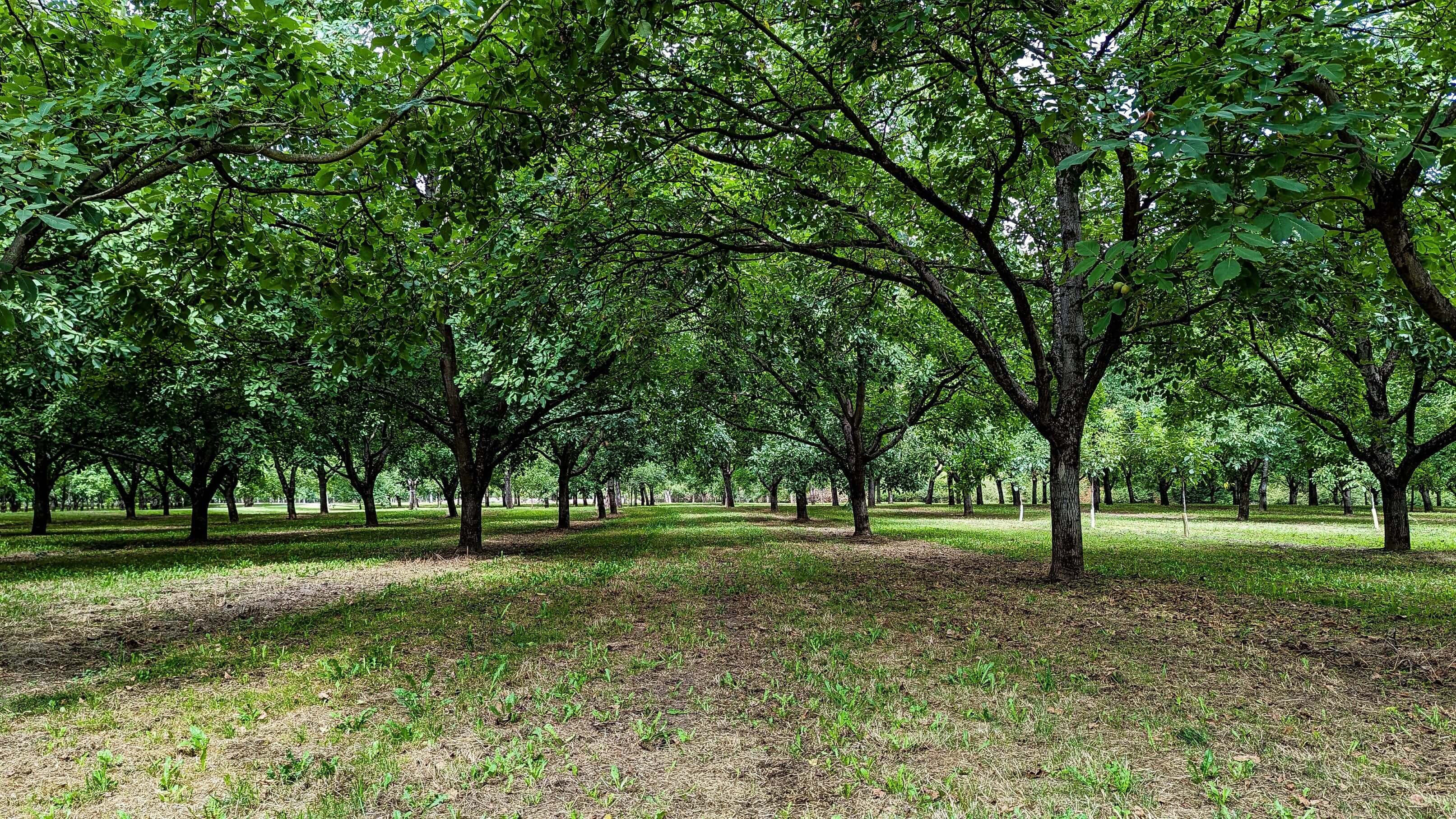 Verger et savoir-faire - Ferme des Signaux